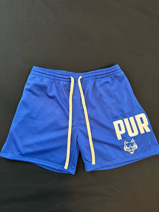 Purew Clothing Blue Mesh Shorts