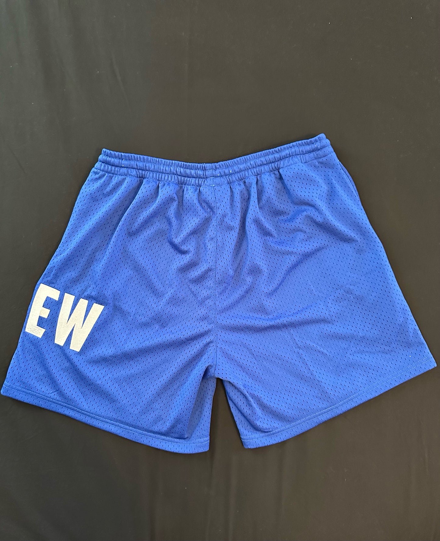 Purew Clothing Blue Mesh Shorts